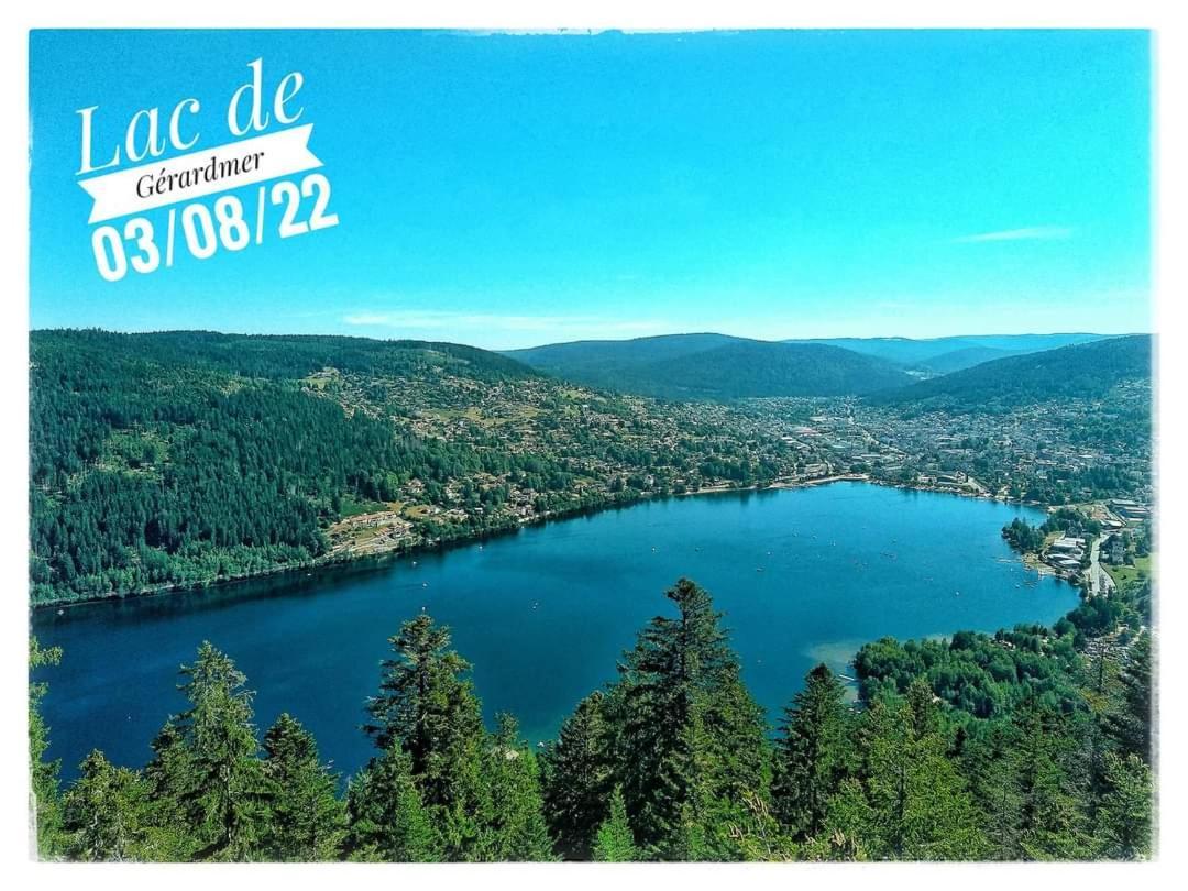 Nouveau Chalet M.Meta 12 Pers Sauna,Jacuzzi,Billard Xonrupt-Longemer Exterior foto