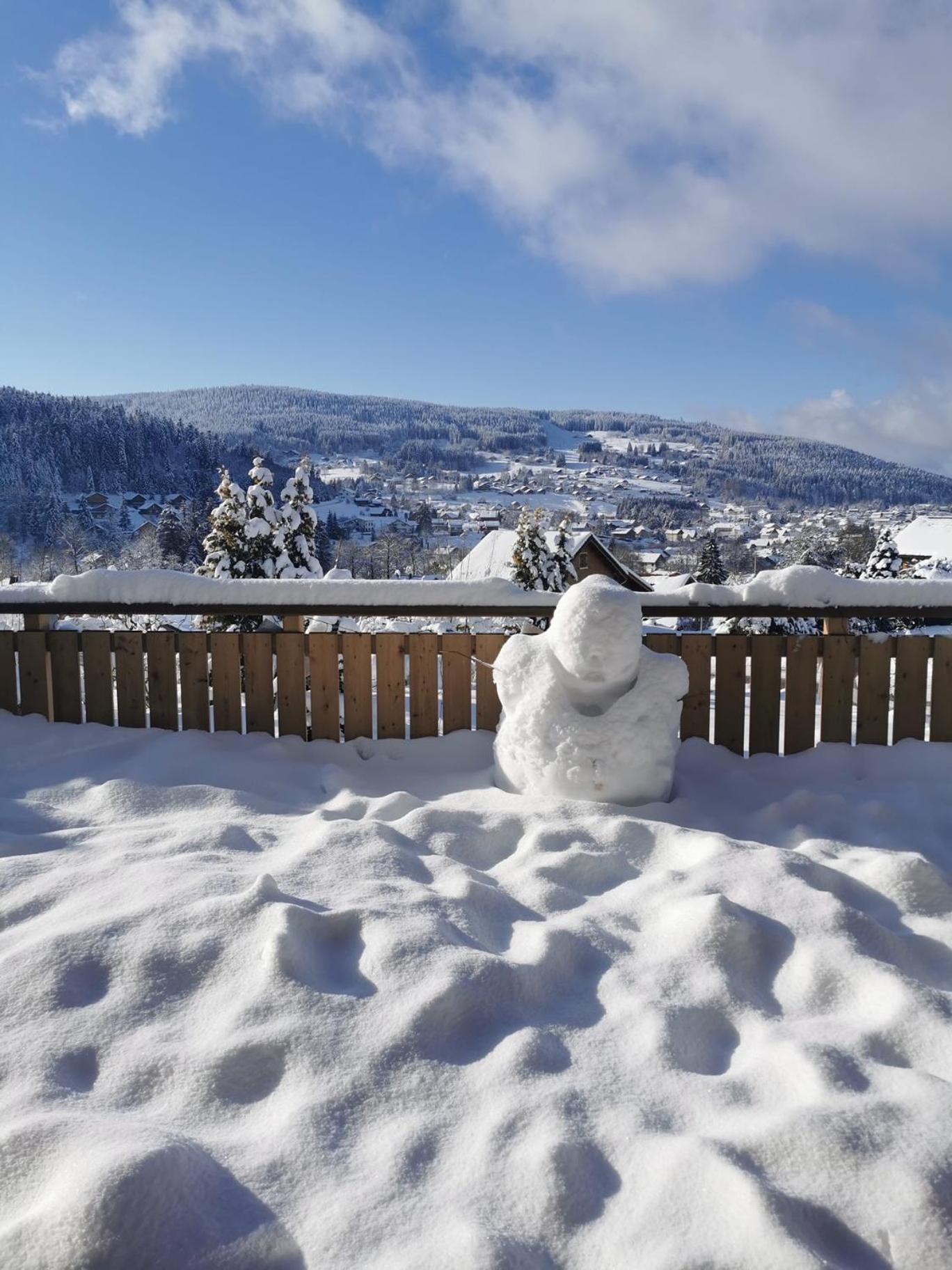 Nouveau Chalet M.Meta 12 Pers Sauna,Jacuzzi,Billard Xonrupt-Longemer Exterior foto